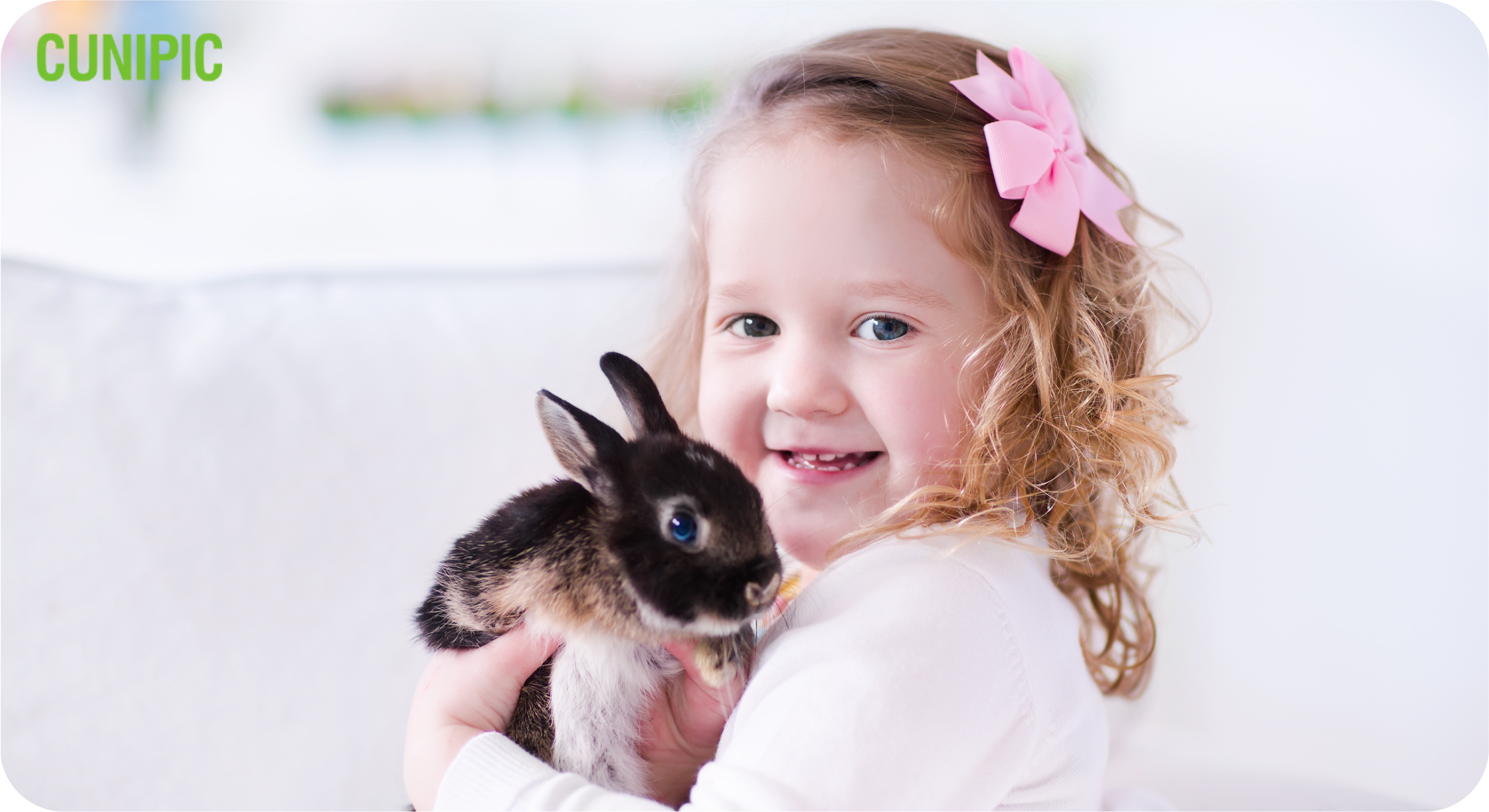 Los beneficios de tener un conejo como mascota