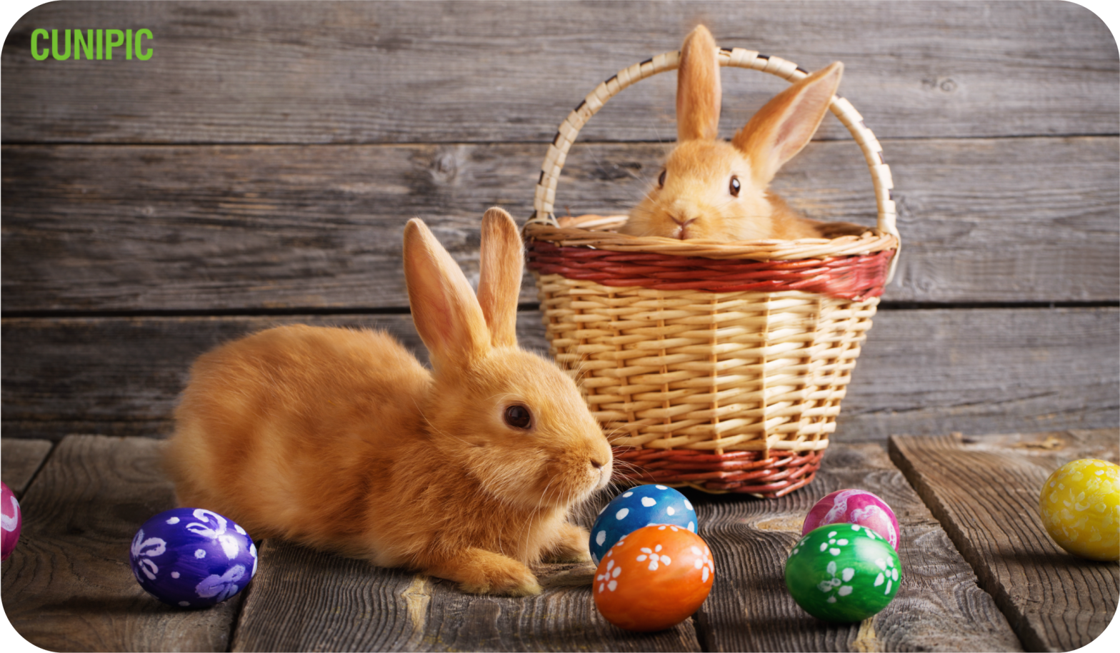 el conejo de pascua