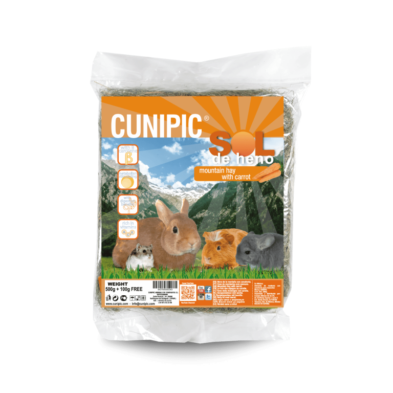 sol-de-heno-carrot-espalda-min