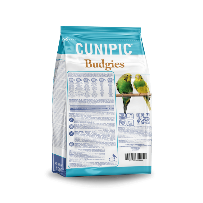Budgies-espalda-min