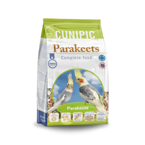 Parakeets-cara-min