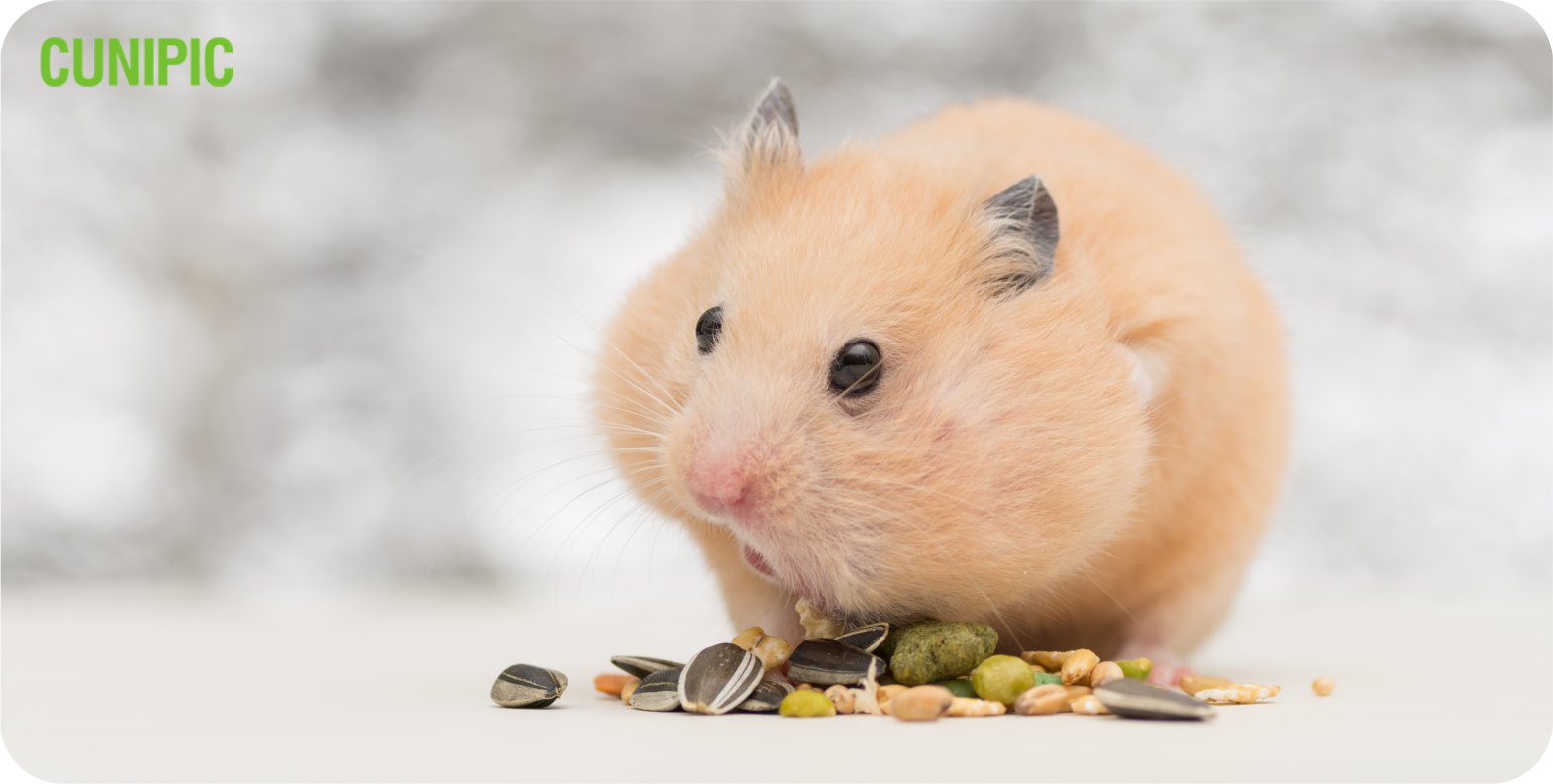 Alpha Pro, una nueva dieta balanceada y profesional para el hamster