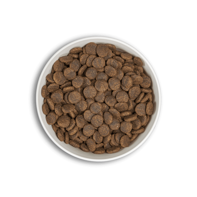 bol-era-adult-ml-salmon-min-1