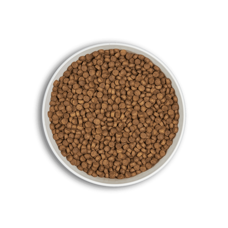 bol-era-adult-s-chicken-min