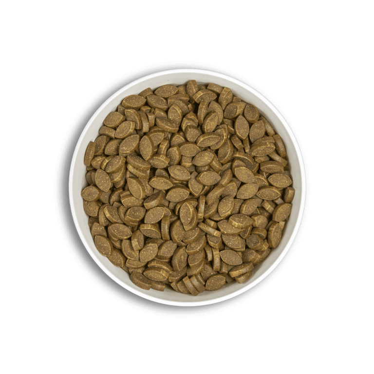 bol-era-snack-immunity-min