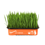 Hierba Fresca para Gato Naturaliss