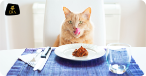 Pourquoi la nourriture humide est-elle importante pour mon chat ?